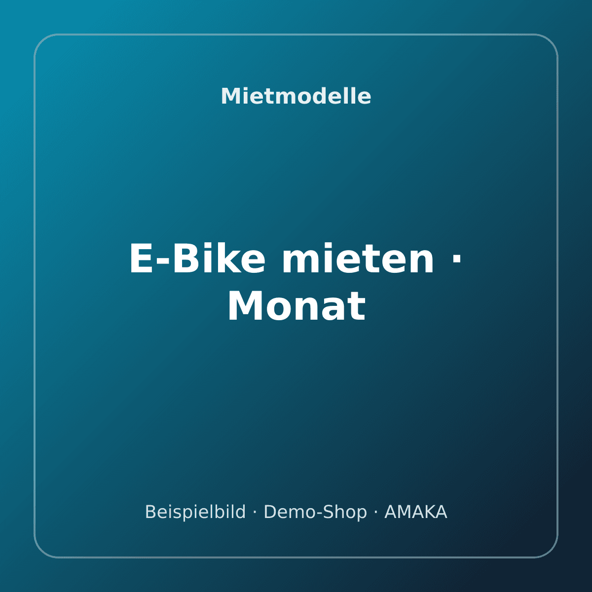 E-Bike mieten · Monat – Bild 1